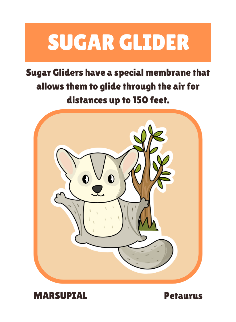 Collect the Critters Card Game